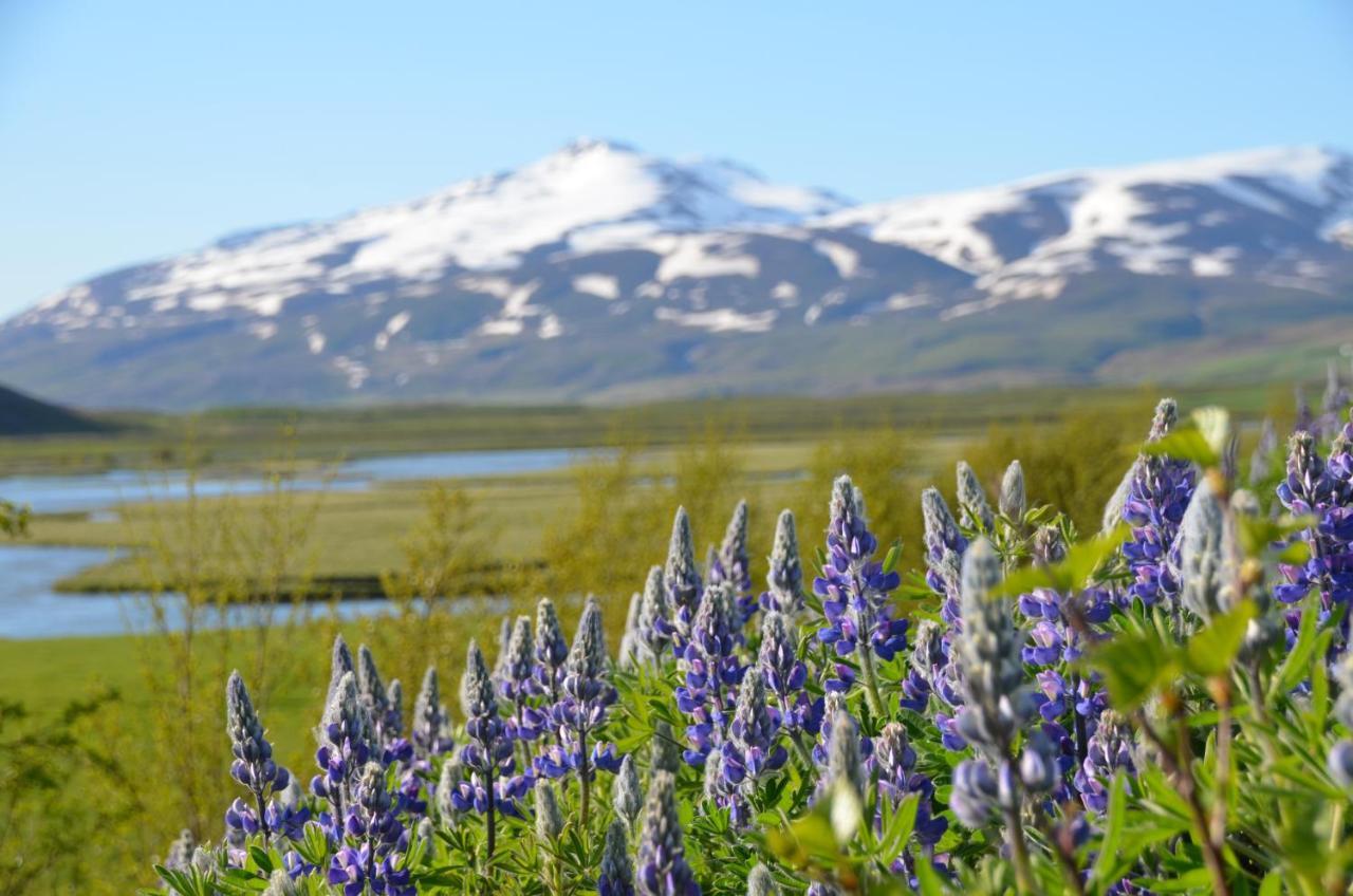 Asholl Guesthouse - Farmstay Akureyri Buitenkant foto